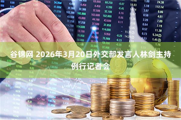谷锦网 2026年3月20日外交部发言人林剑主持例行记者会