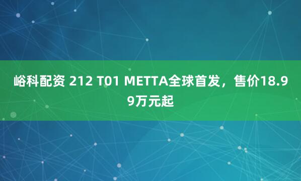 峪科配资 212 T01 METTA全球首发，售价18.99万元起
