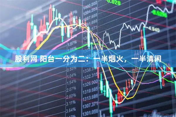 股利网 阳台一分为二：一半烟火，一半清闲